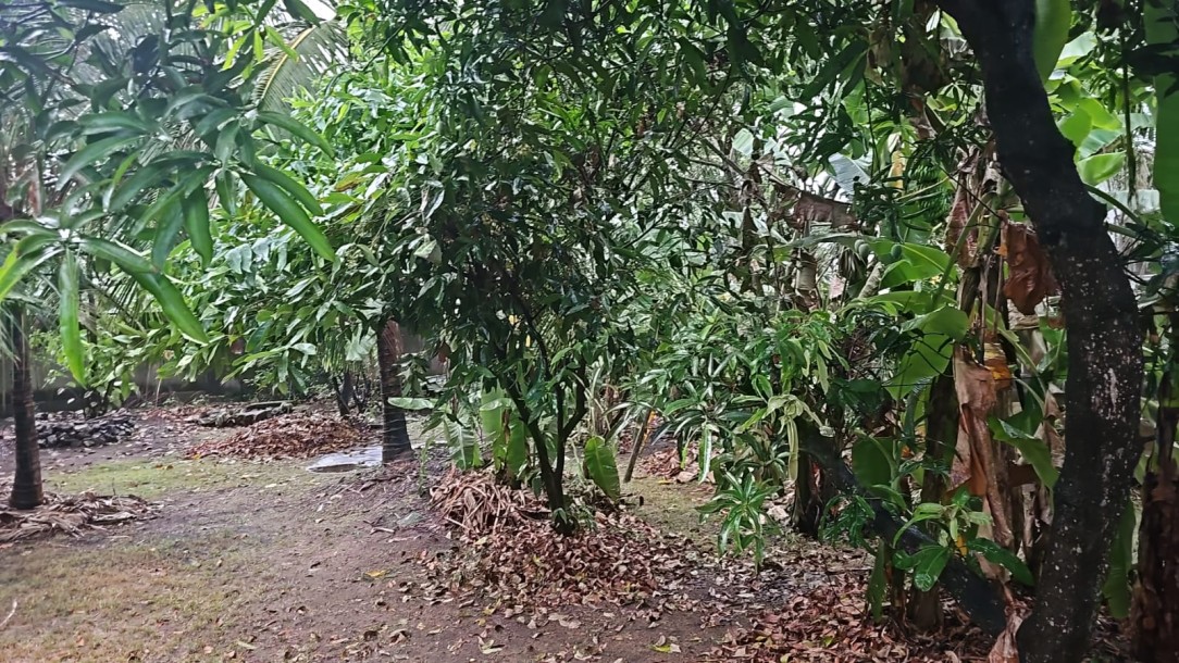 Nawala Bare Land For Sale-2