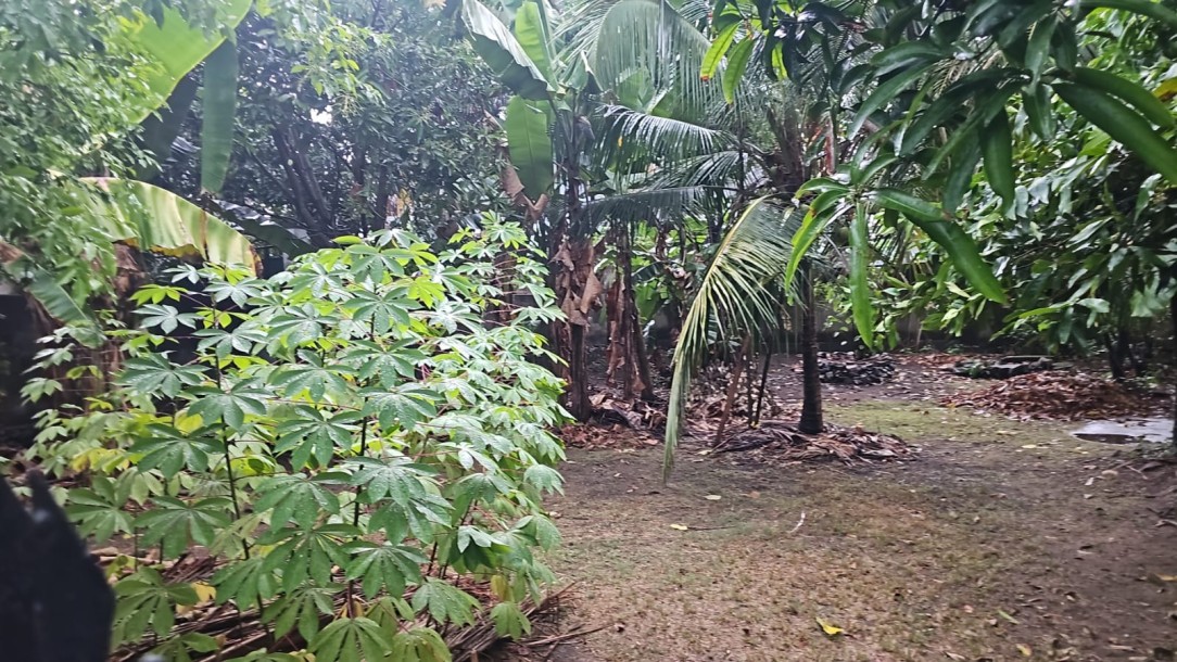 Nawala Bare Land For Sale-1