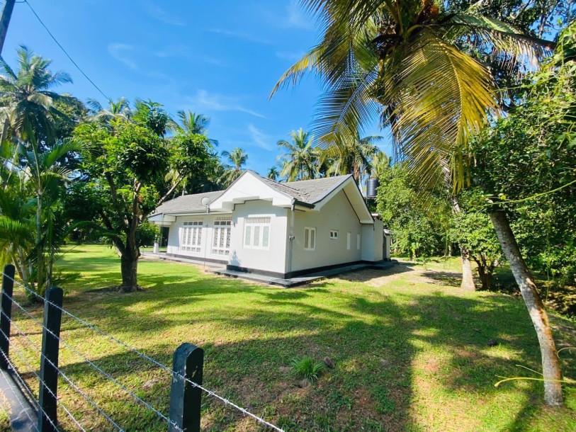 LAND WITH Coconut and NEWLY RENOVATED  HOUSE  FOR SALE IN NATTANDIYA-2