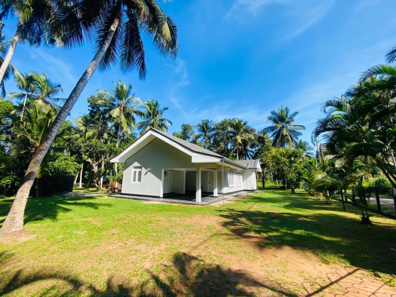LAND WITH Coconut and NEWLY RENOVATED  HOUSE  FOR SALE IN NATTANDIYA-1