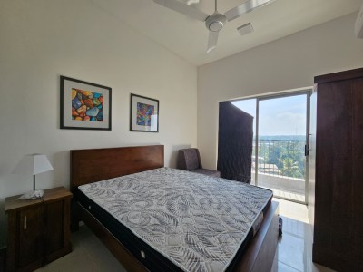 Furnished Canterbury Garden Apartment For Rent