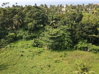 Massive Land for Sale in Boossa-5