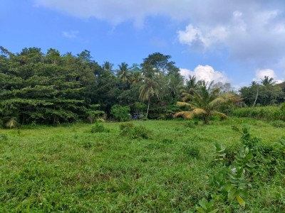Massive Land for Sale in Boossa-3