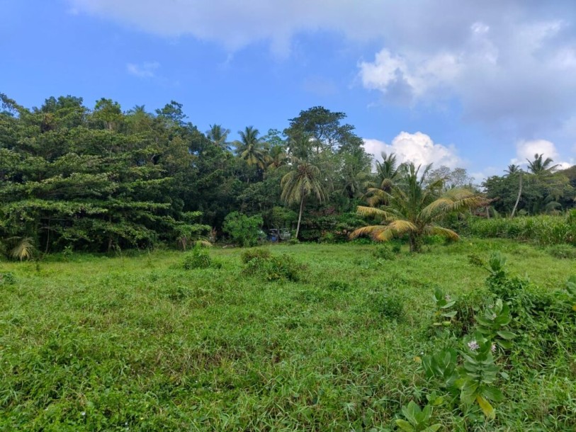 Massive Land for Sale in Boossa-3