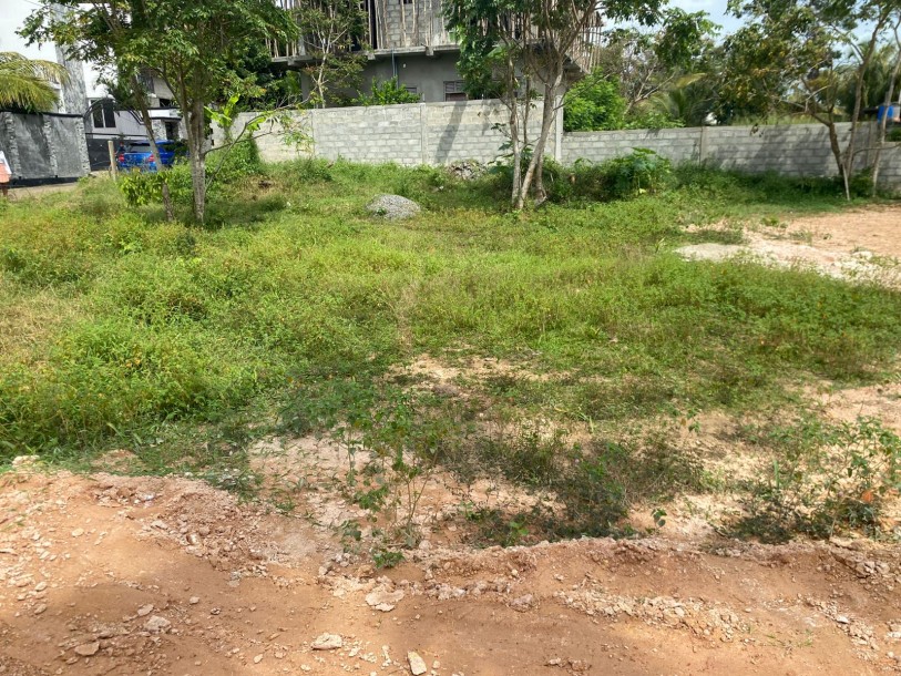 Land for Sale – Mirissa, Sri Lanka-6