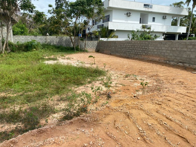 Land for Sale – Mirissa, Sri Lanka-3