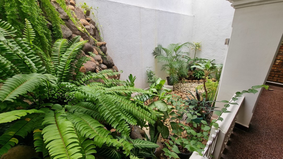 House for Sale in Colombo 5-3