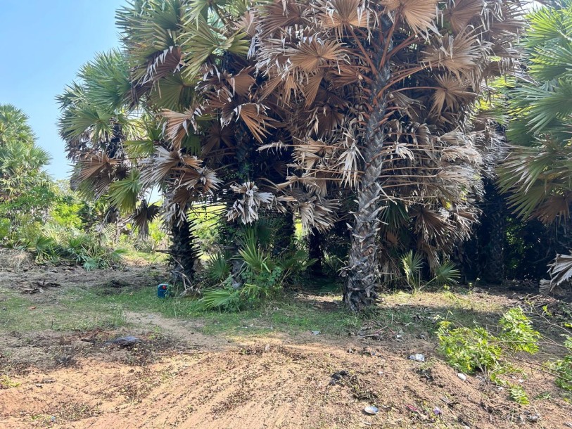 2.8 Acre Land for Sale in Kalpitiya | Ideal for Tourism or Villa Project | Clear Deeds-9