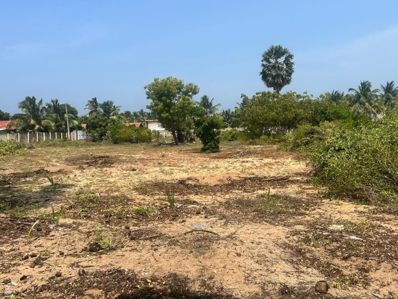 2.8 Acre Land for Sale in Kalpitiya | Ideal for Tourism or Villa Project | Clear Deeds-7