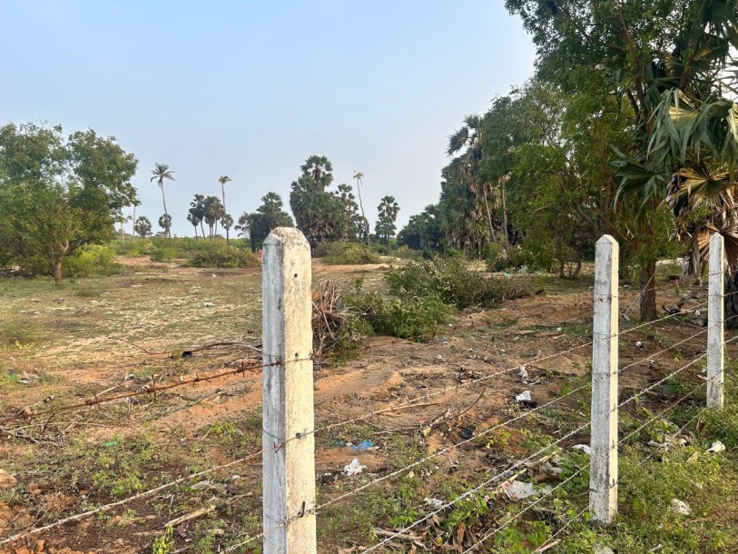 2.8 Acre Land for Sale in Kalpitiya | Ideal for Tourism or Villa Project | Clear Deeds-4