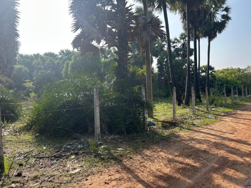 2.8 Acre Land for Sale in Kalpitiya | Ideal for Tourism or Villa Project | Clear Deeds-1