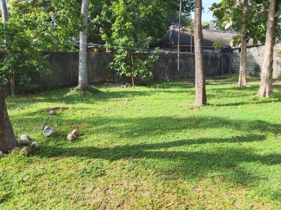 Bare Land for Sale in Kirulapana, Colombo 5 | Price: 53 Million (Negotiable)-4