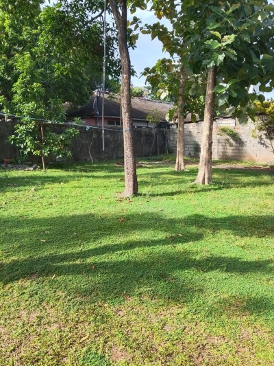 Bare Land for Sale in Kirulapana, Colombo 5 | Price: 53 Million (Negotiable)