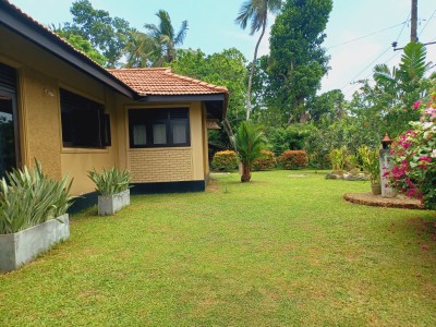 House with a large garden For Sale in Negombo-3