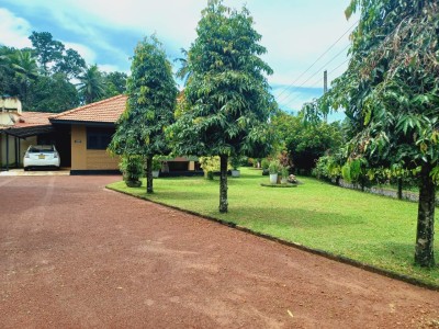 House with a large garden For Sale in Negombo