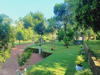 House with a large garden For Sale in Negombo-2