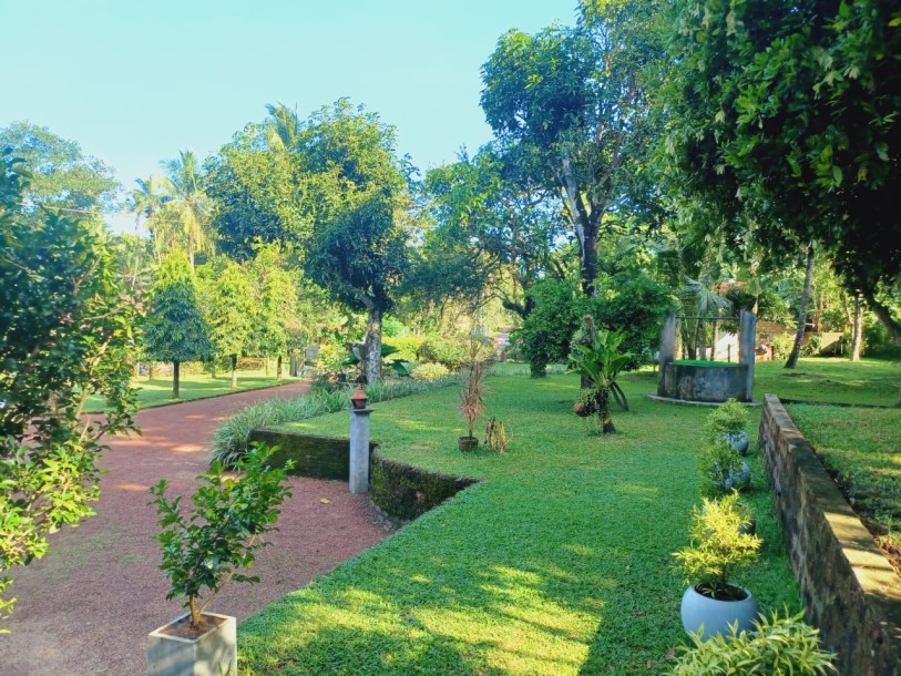 House with a large garden For Sale in Negombo-2
