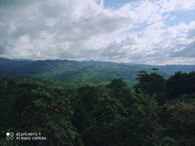 11 Bedroom Boutique Guesthouse in Nillambe, Kandy for Sale | LKR 79 Million-4