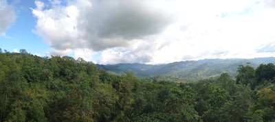 11 Bedroom Boutique Guesthouse in Nillambe, Kandy for Sale | LKR 79 Million-13