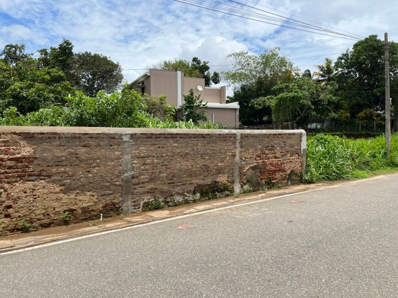 30 Perch Bare Land for Sale at Ethul Kotte | LKR 3.95 Million Per Perch-2