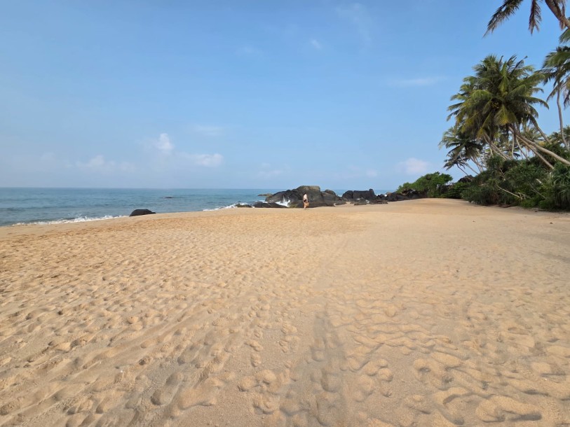259 Perches Beachfront Land for Sale in Balapitiya | LKR 411.2 Million-2