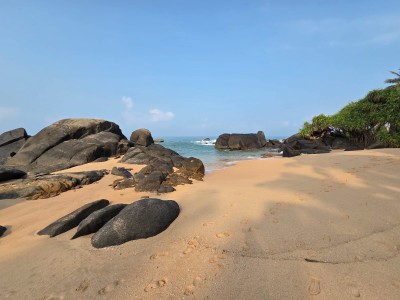 259 Perches Beachfront Land for Sale in Balapitiya | LKR 411.2 Million