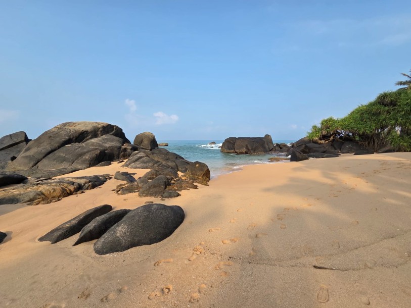 259 Perches Beachfront Land for Sale in Balapitiya | LKR 411.2 Million-1