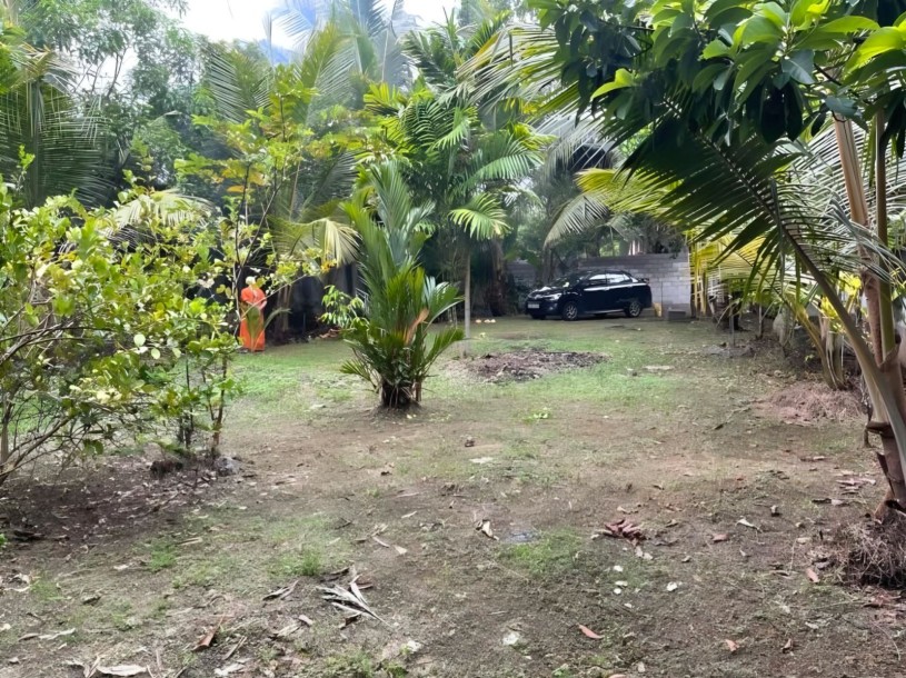20 Perches Land for Sale in Wattala | LKR 2.5 Million Per Perch-1