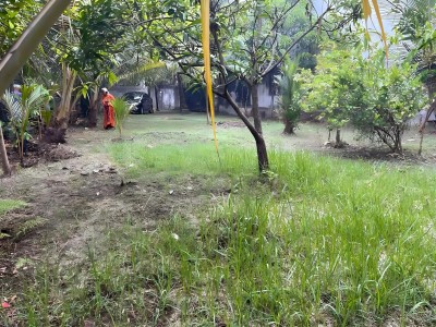 20 Perches Land for Sale in Wattala | LKR 2.5 Million Per Perch-2