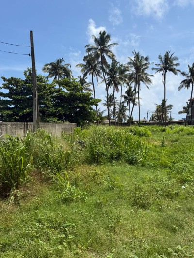 Bare Land for Sale in Dehiwala | LKR 450 Million (LA4641)-5