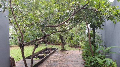 5BR House for Rent in Boralesgamuwa | LKR 350,000/Month (HS4727)-22