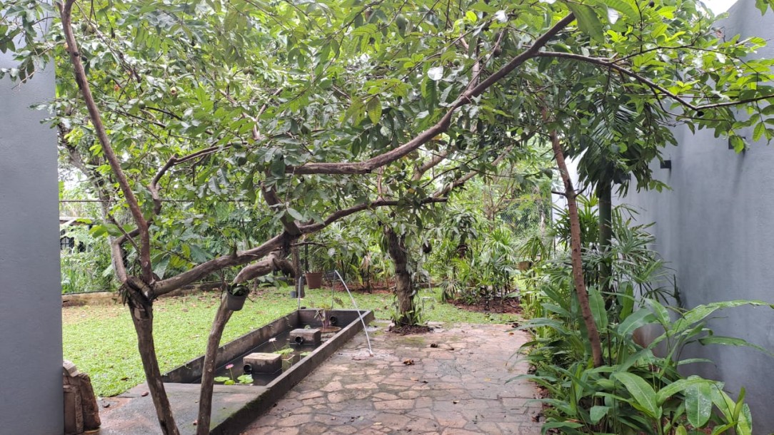 5BR House for Rent in Boralesgamuwa | LKR 350,000/Month (HS4727)-22