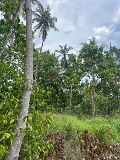175 Perch Land for Sale in Homagama | LKR 253.75 Million (LA4716)-1