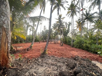 100 Perch Freehold Land for Sale in Kosgoda | LKR 120 Mn(LA4723)