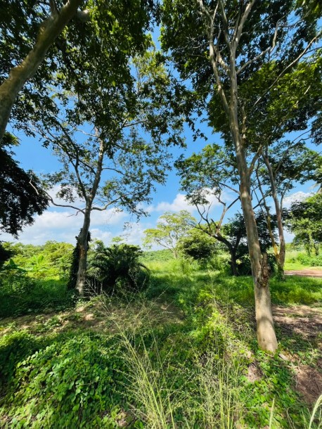 5 Acre Land for Sale in Wennappuwa | LKR 200 Mn (LA4747)-7
