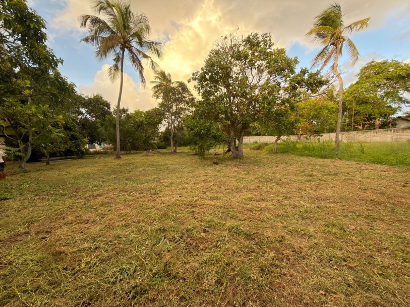 Residential Land for Sale in Eththukala, Negombo | LKR 44 Mn(LA4783)-1