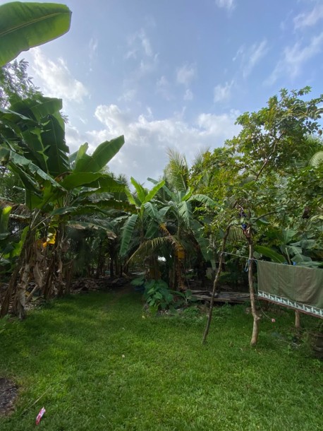 Riverfront Land for Sale in Kahapola, Piliyandala | LKR 98.8 Mn (LA4781)-1