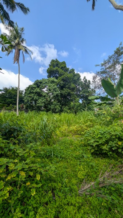 Residential Land for Sale in Madiwela, Kotte | Investment LKR 77.2 Million (Negotiable) (LA4811)