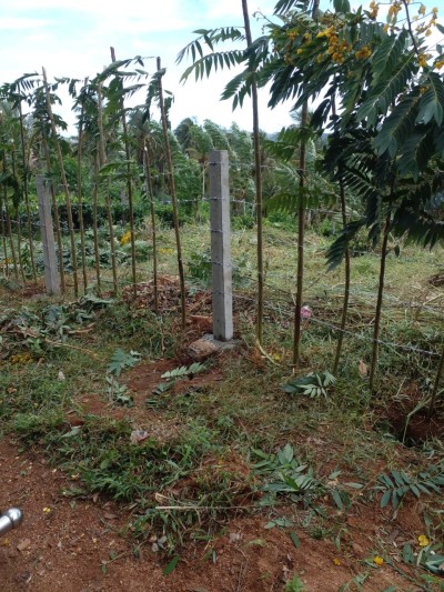 Land for Sale in Uda Kandha, Balangoda | Investment LKR 72 Million (LA4814)-5