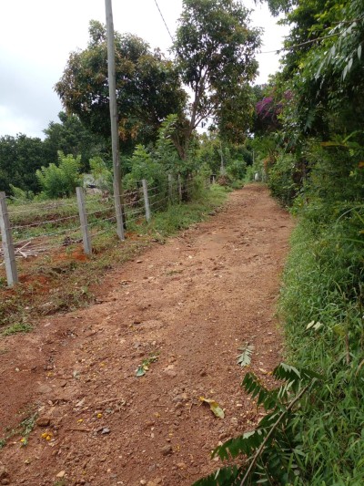 Land for Sale in Uda Kandha, Balangoda | Investment LKR 72 Million (LA4814)-4