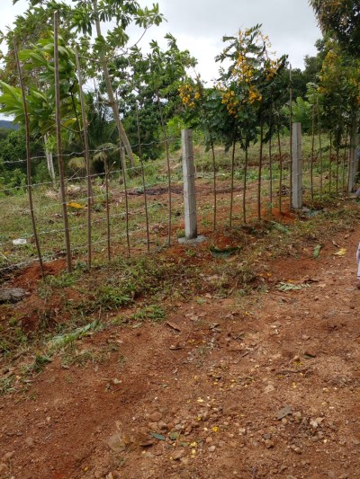 Land for Sale in Uda Kandha, Balangoda | Investment LKR 72 Million (LA4814)