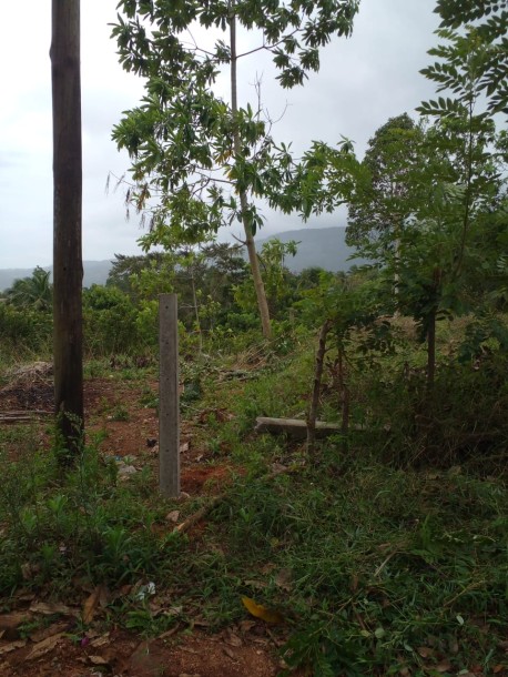 Land for Sale in Uda Kandha, Balangoda | Investment LKR 72 Million (LA4814)-3