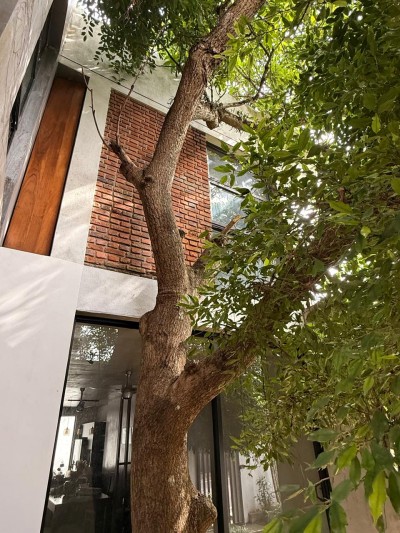 2 Houses on One Property for Sale in Pamunuwa Road, Maharagama | LKR 120 Million(HS4870)