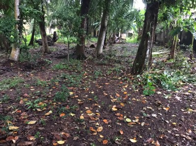 Prime Land with 2-Storey House for Sale in Kalubowila (LA4900)-3