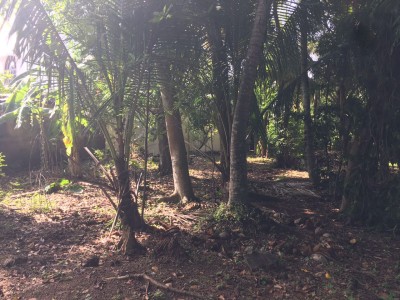 Prime Land with 2-Storey House for Sale in Kalubowila (LA4900)-4