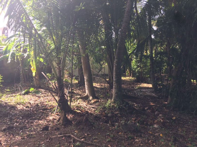 Prime Land with 2-Storey House for Sale in Kalubowila (LA4900)-4