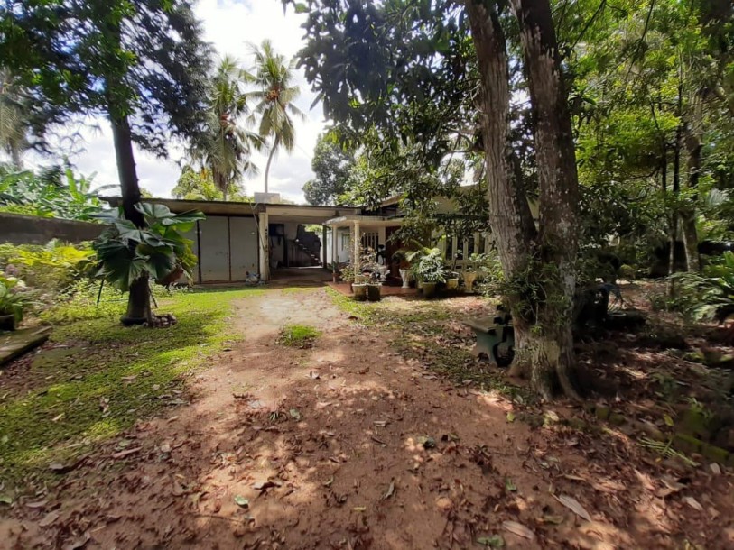 Prime Land for Sale in Piliyandala | 14.9 Perches | LKR 27.565 Million (LA4903)-2