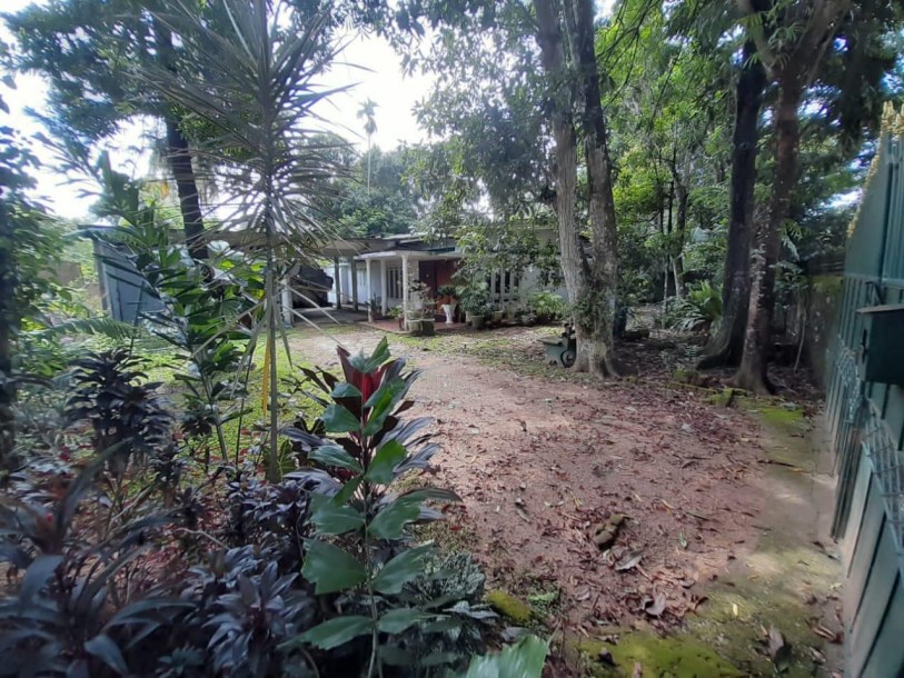 Prime Land for Sale in Piliyandala | 14.9 Perches | LKR 27.565 Million (LA4903)-1