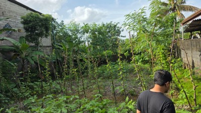 Bare Land for Sale in Kiriwaththuduwa | 13.10 Perches | LKR 8 Million (Negotiable) (LA4894)