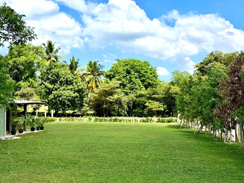 Prime Land for Sale in Thalawathugoda | LKR 3.3 Million Per Perch (LA4901)-4